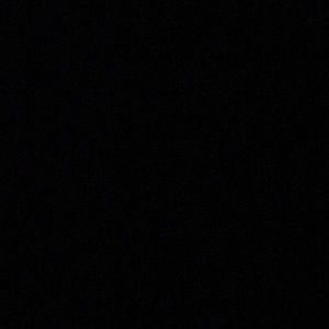 Meet your Posher, Charlotte